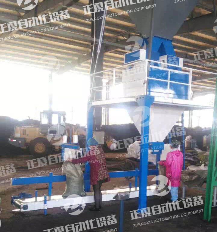 �p���w�����b�C(j��)